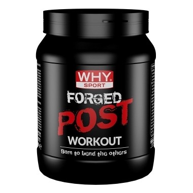 Forged Post Workout 600g