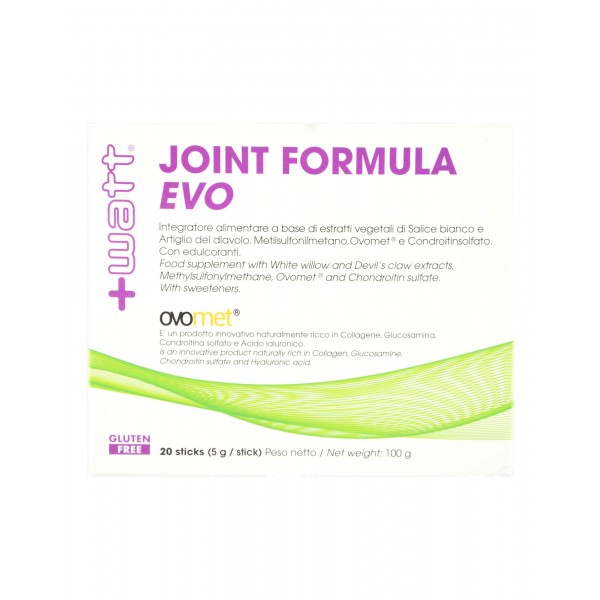 Joint formula Evo 20 stick da 5 gr.