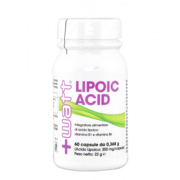 Lipoic Acid 60 capsule